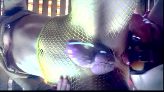 COUPLE CUMSHOTS COMPILATION